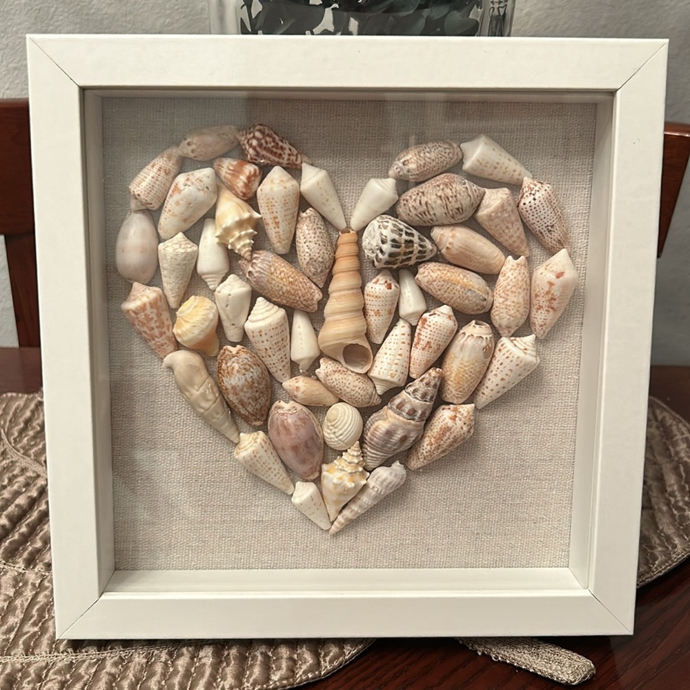 8" x 8" framed Shell Art Heart Arizona Shells